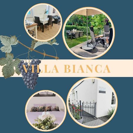 Villa Bianca - Holiday & Business Elsenfeld 外观 照片