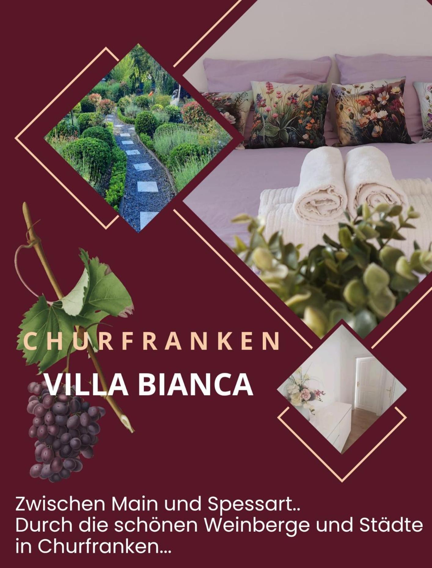 Villa Bianca - Holiday & Business Elsenfeld 外观 照片