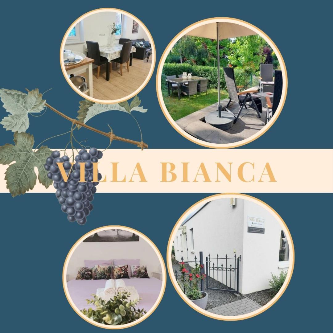 Villa Bianca - Holiday & Business Elsenfeld 外观 照片